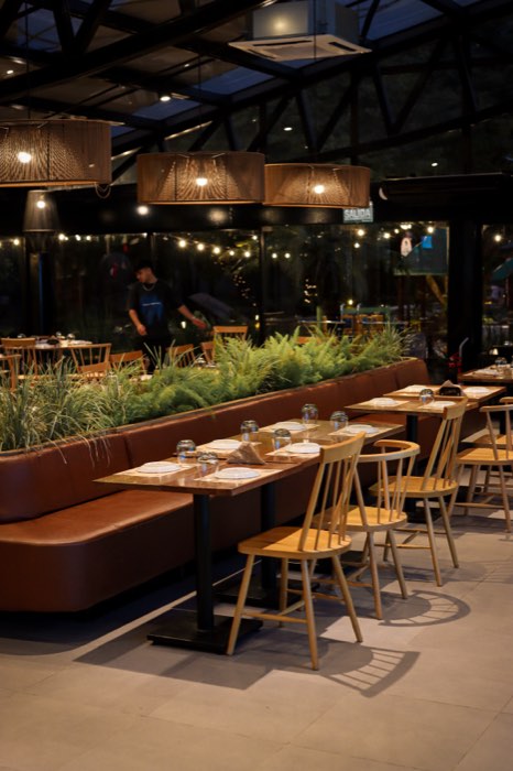 Sector con sillones y plantas, de noche